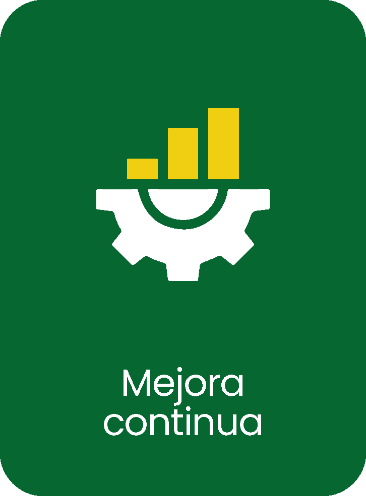 Mejora continua