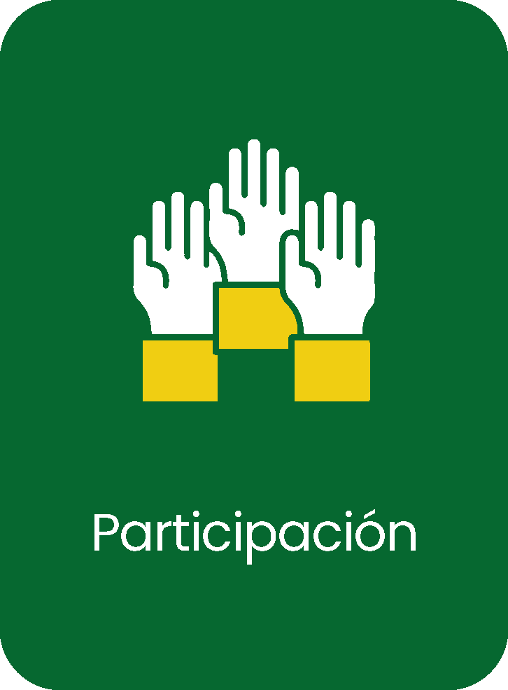 Participación