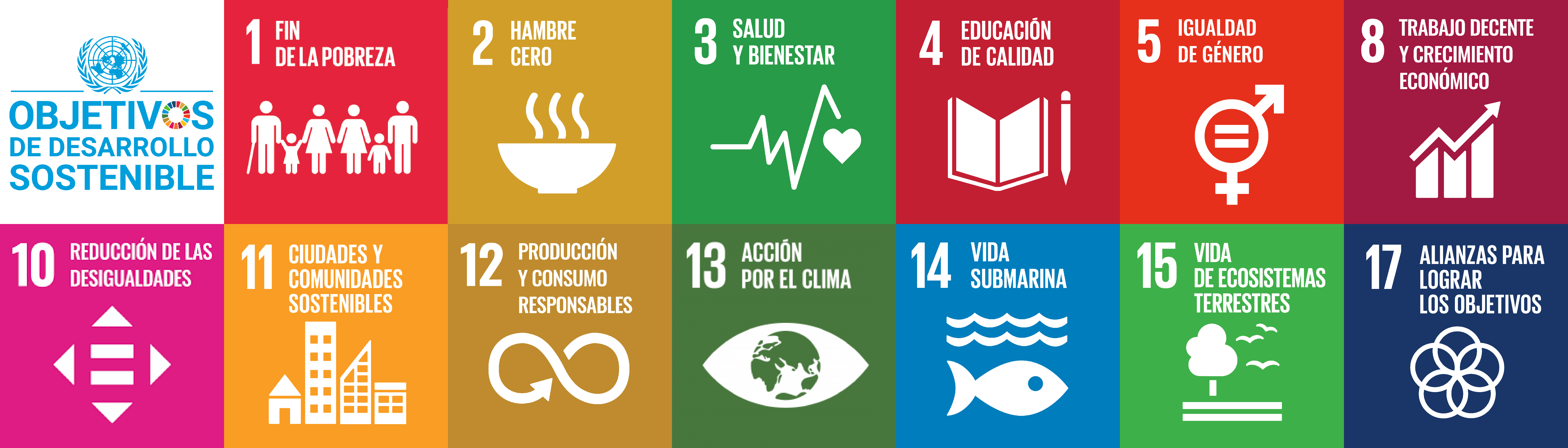 Objetivos de Desarrollo Sostenible